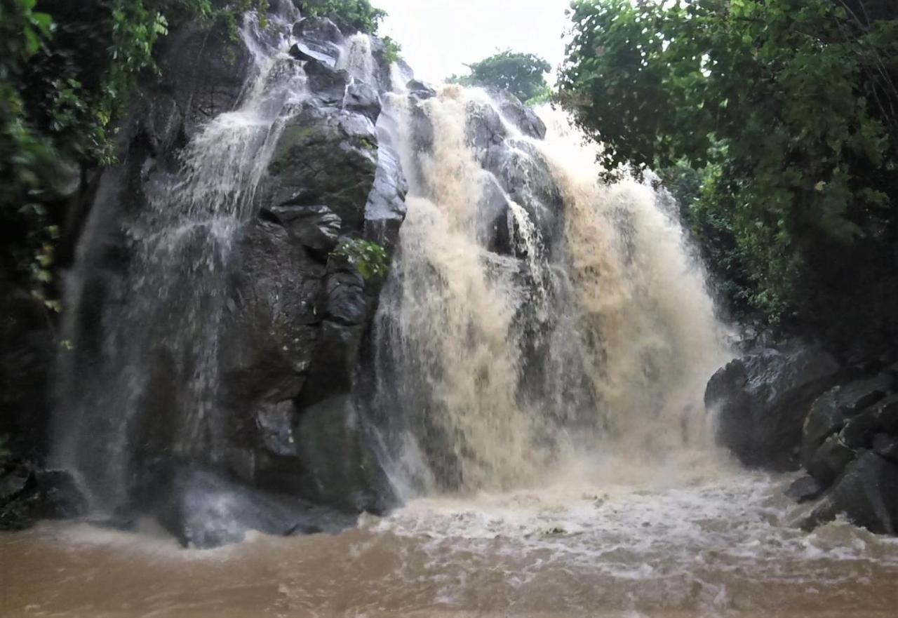 Moheli Vanilla Lodge Nioumachoua 外观 照片